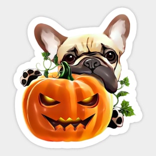French bulldog and pumpkin, pumpkin,pumpkins,halloween,fall,spooky Sticker